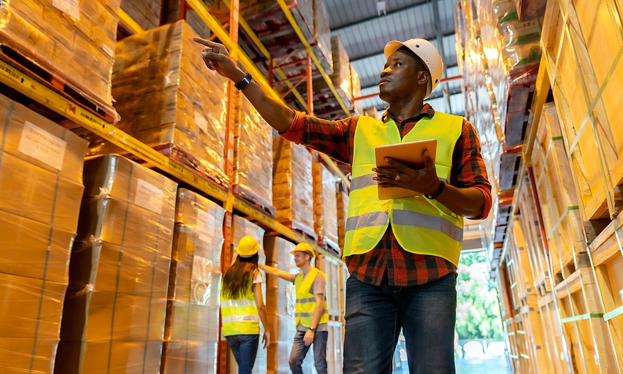 Warehouse employee checking stock in a distribution warehouse  